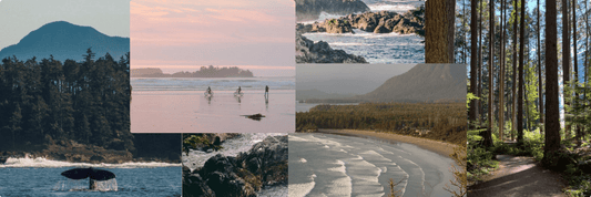 A Guided Ocean Meditation (2025 Update) - Inspired by the Pacific Ocean off the Coast of Tofino, British Columbia - KAMINSKA